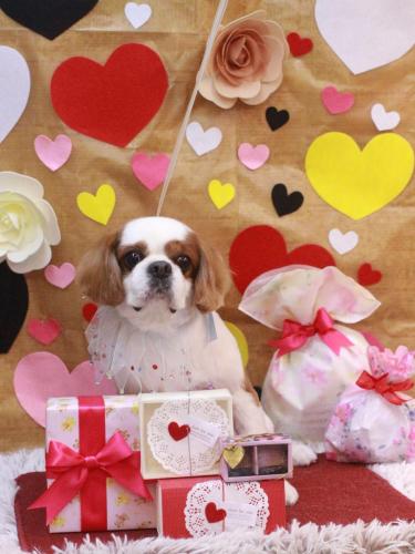 20230209リムくん